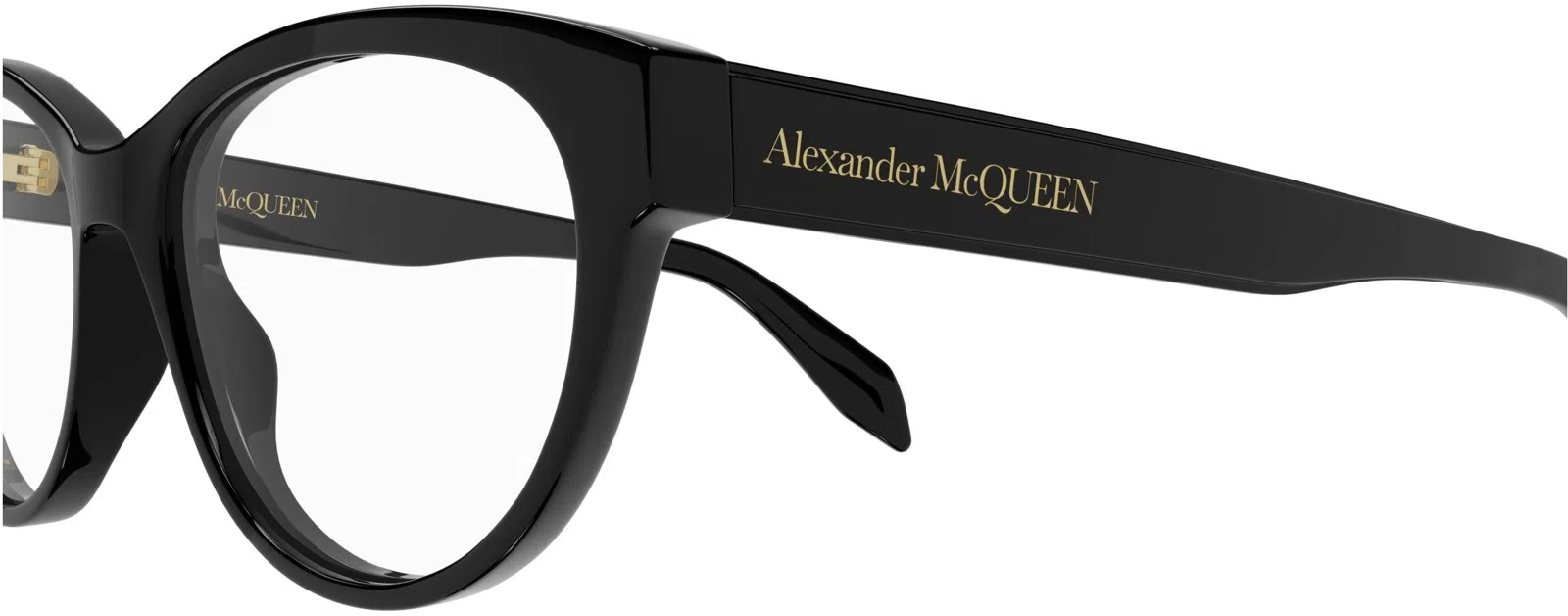 Alexander McQueen Casual Lines AM0359O Eyeglasses - view 10